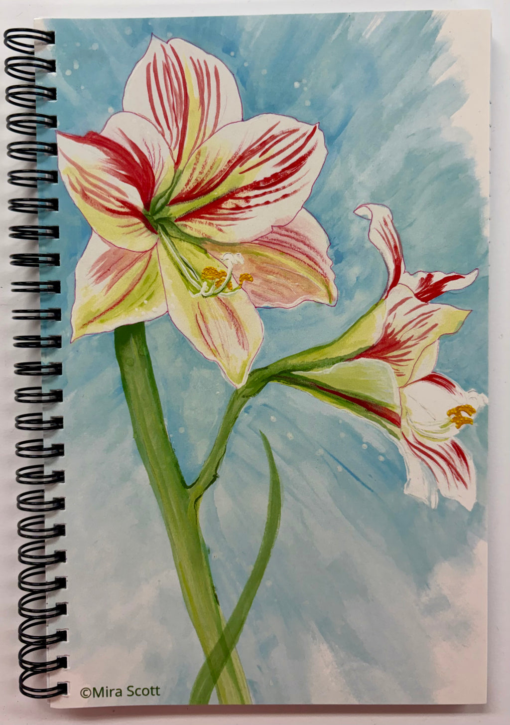 Journal - Amaryllis Candy Cane