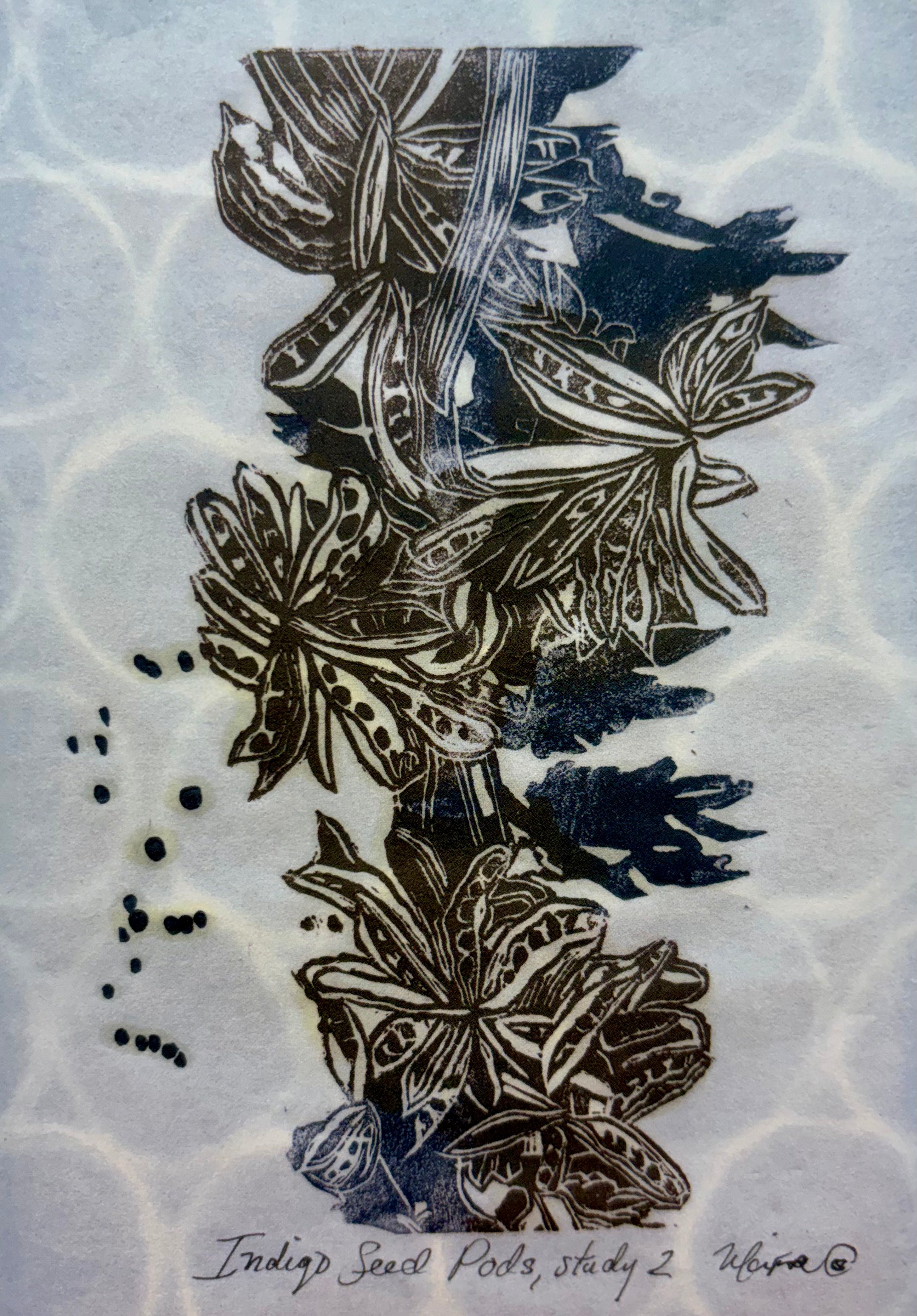 Notecard - Indigo Seed Pod