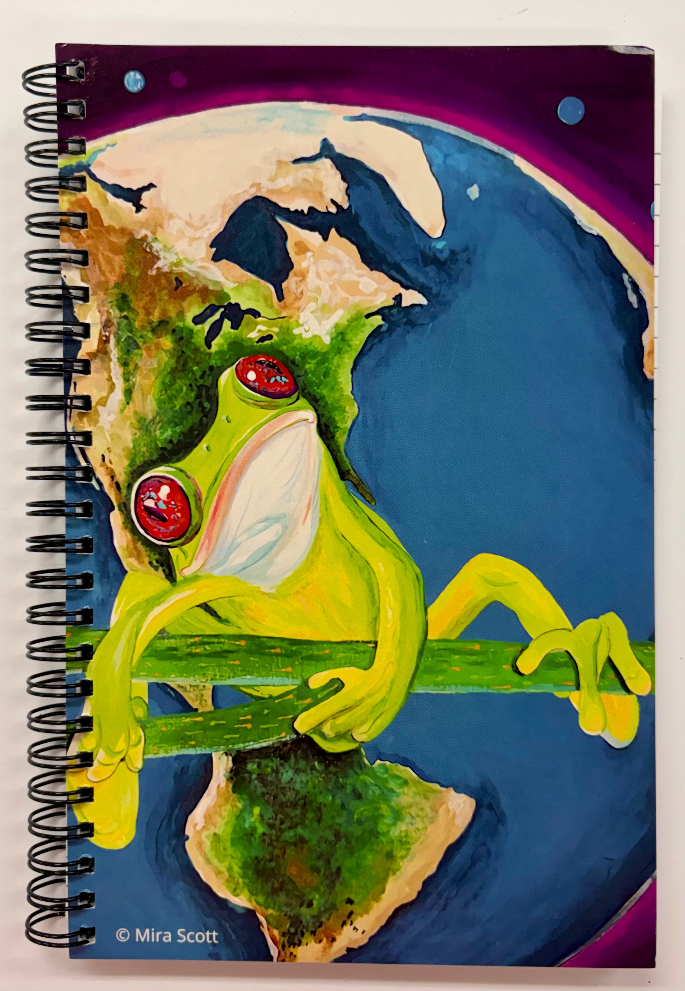 Journal - Joy to the World
