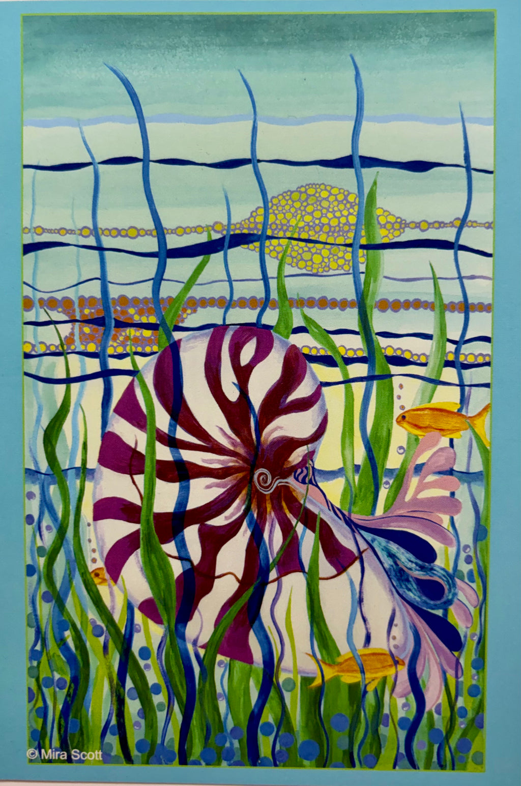 Notecard - Nautilus