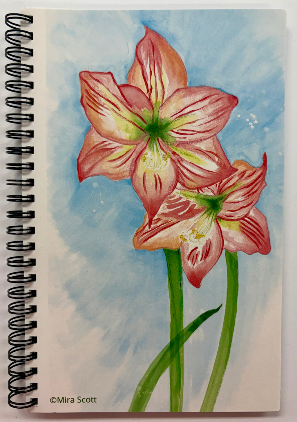 Journal - Amaryllis Peach