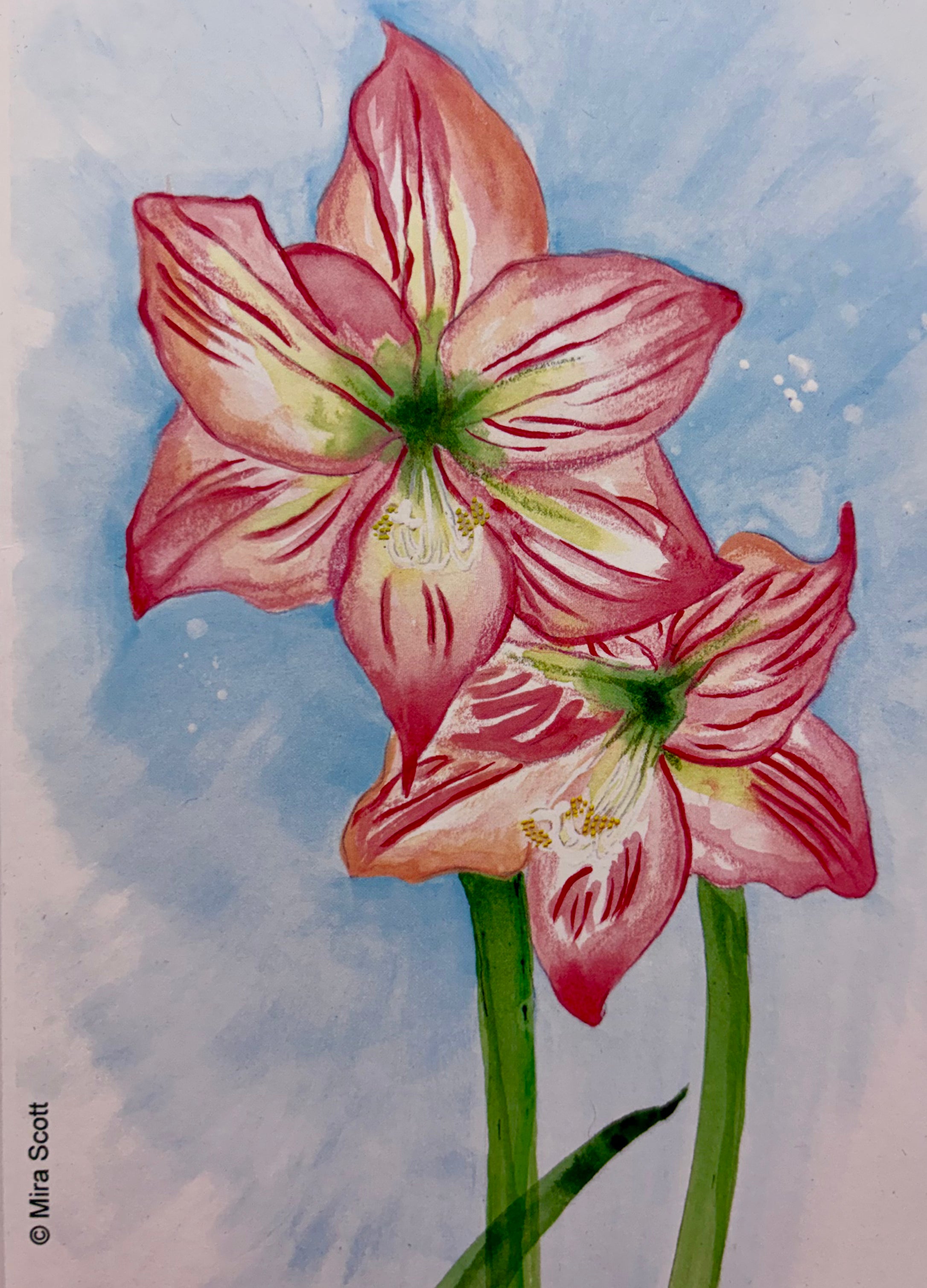 Notecard - Amaryllis Peach
