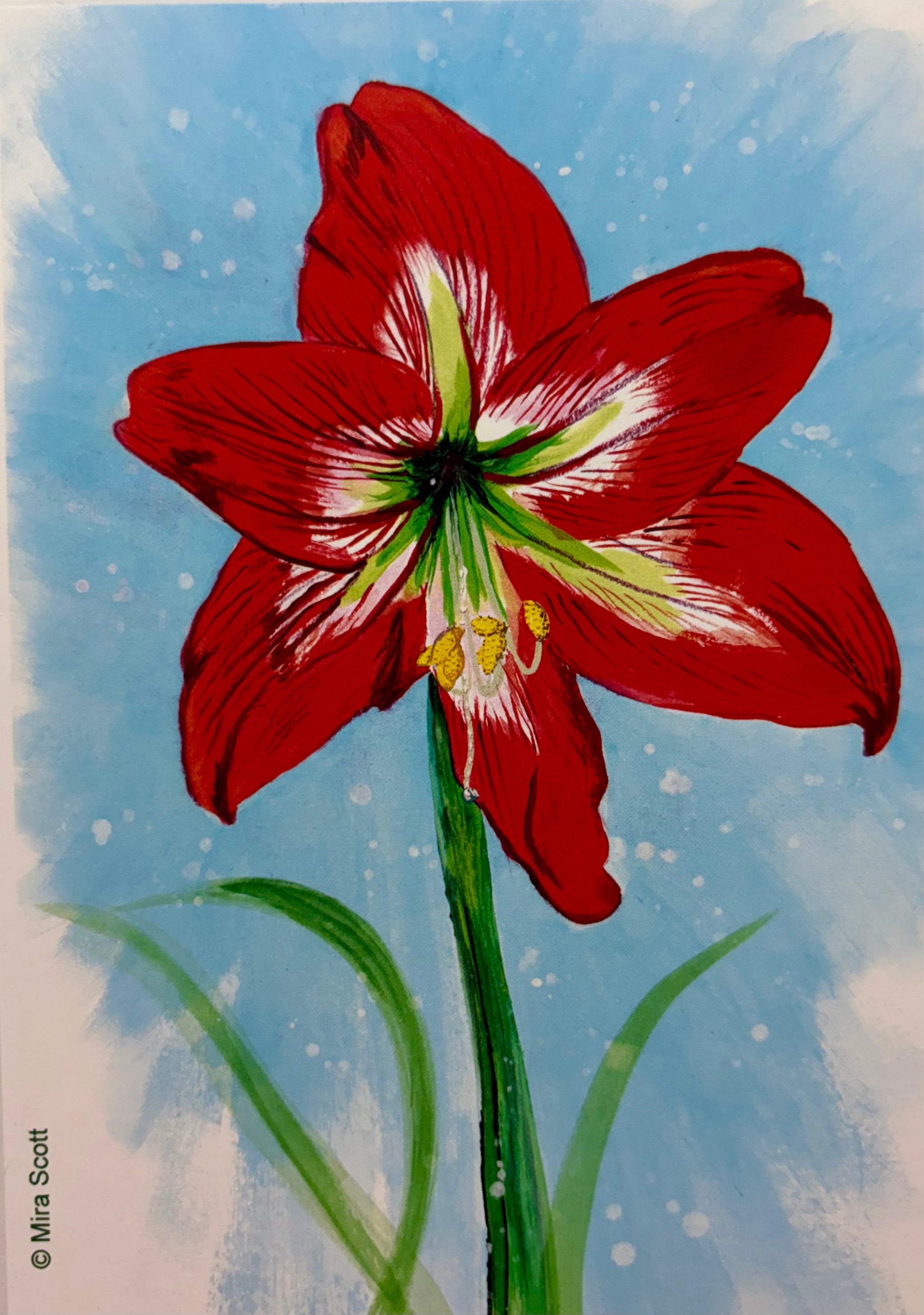 Notecard - Amaryllis Red