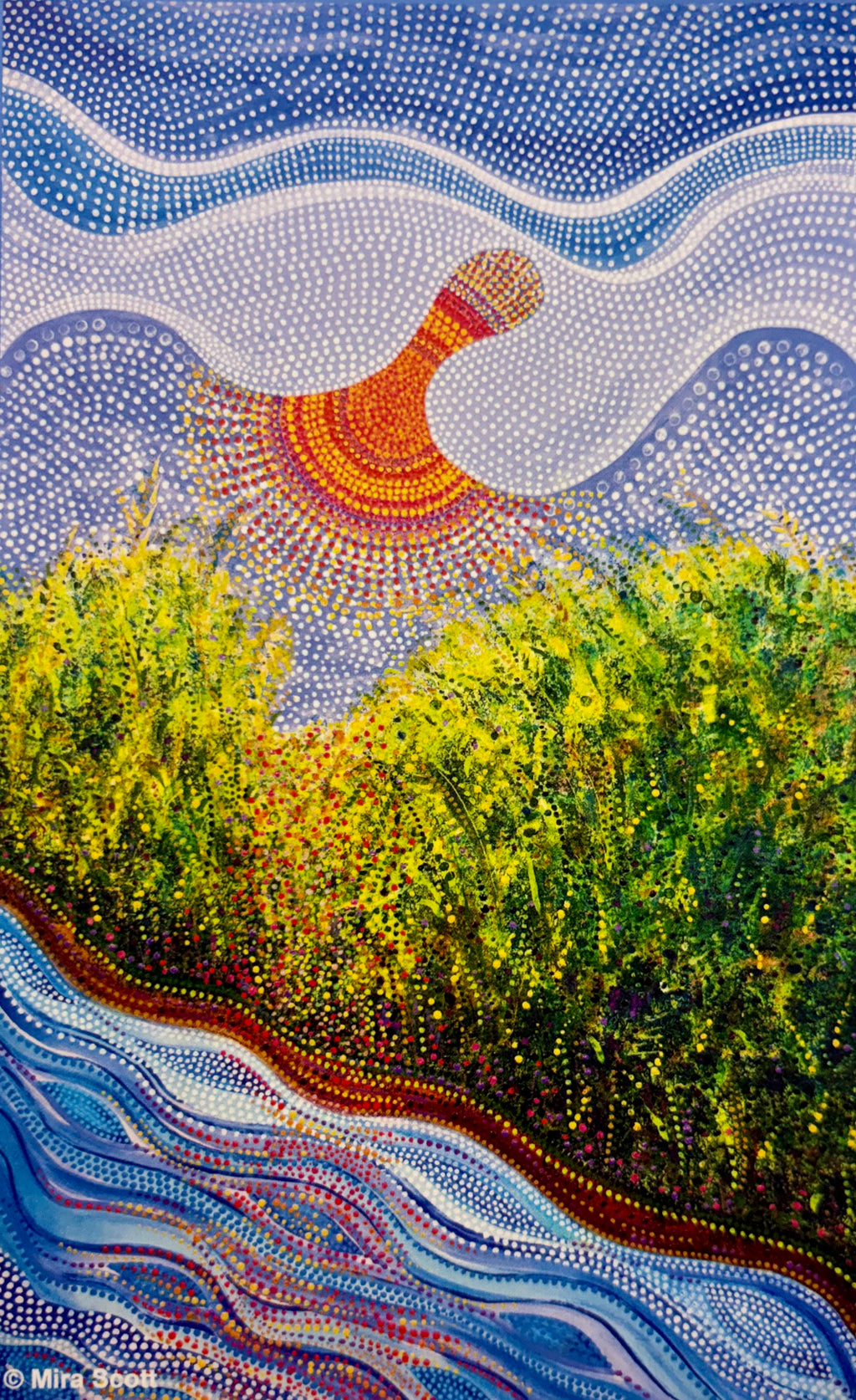 Notecard - Rice Fields at Dawn