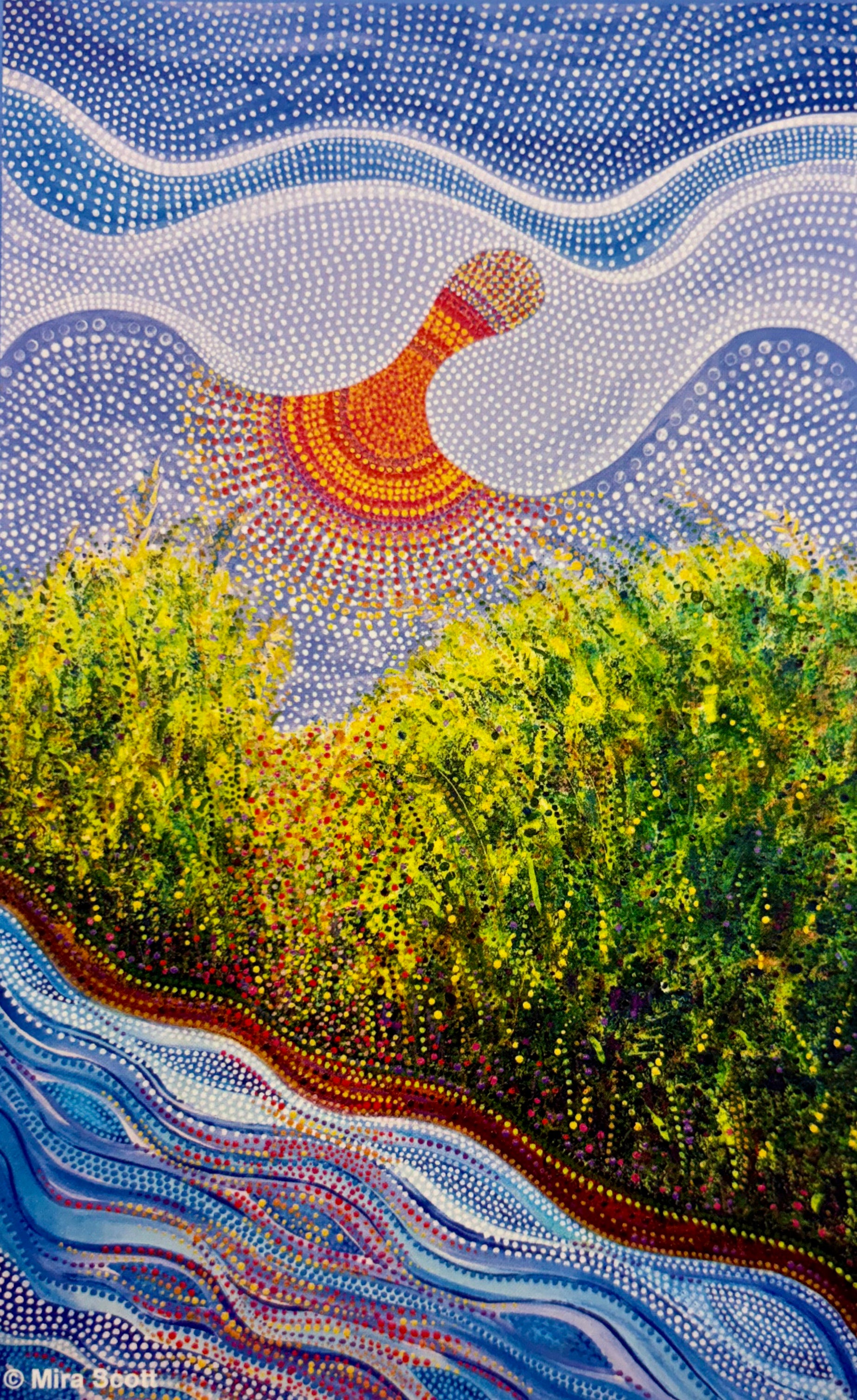 Notecard - Rice Fields at Dawn