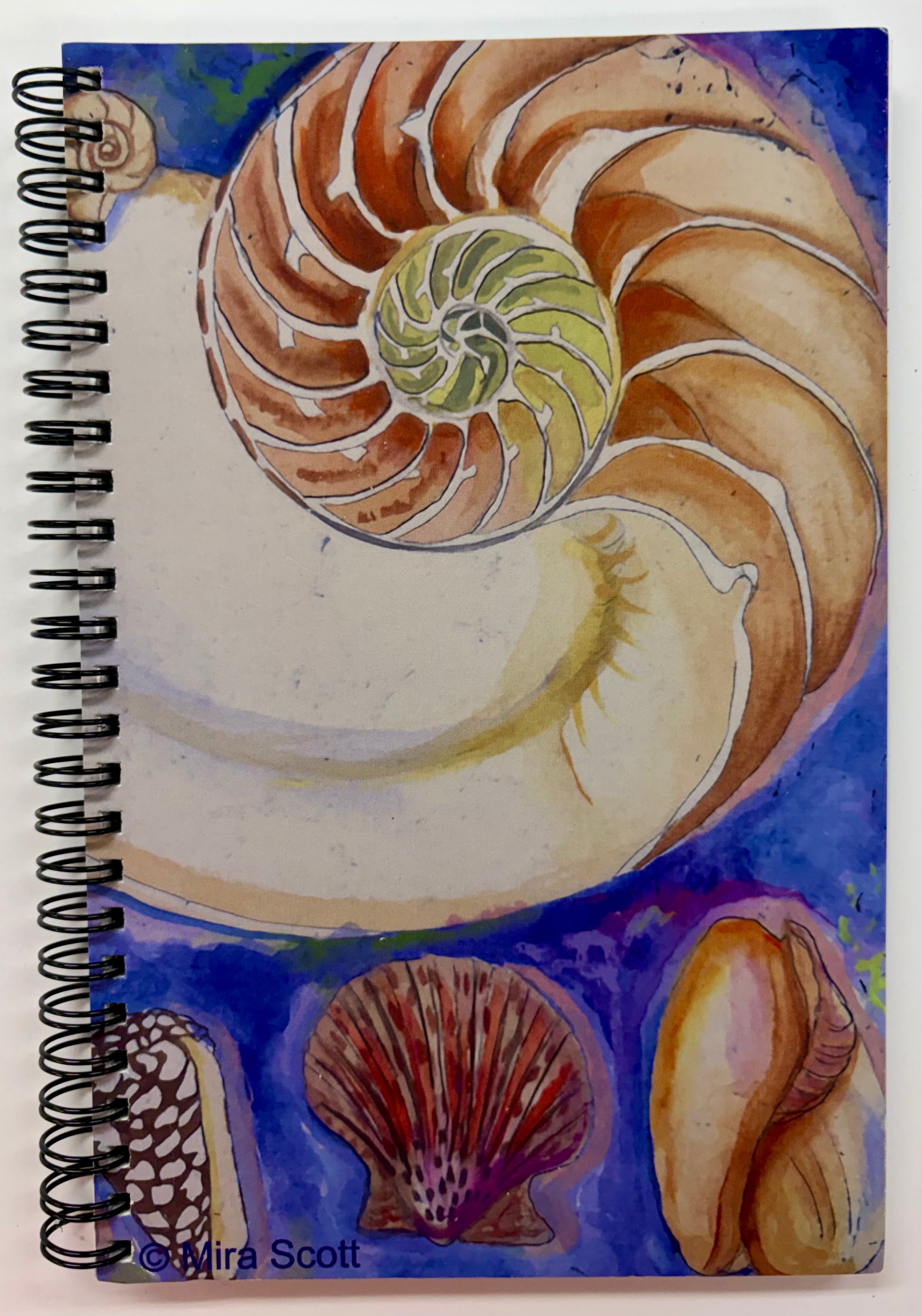 Journal - Shell Collection